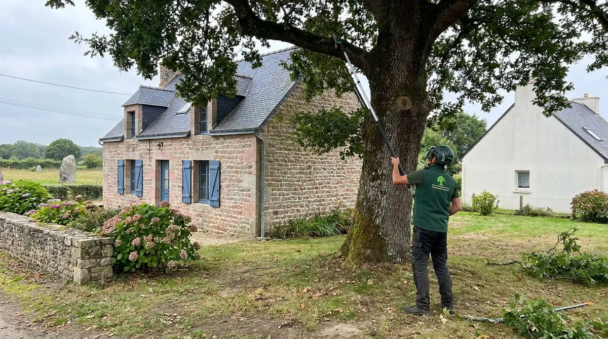 Élagage et crédit d'impôt : comment bénéficier des 50% ? (Lorient)