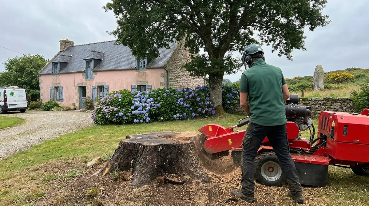 Dessouchage : méthodes, prix et quand intervenir (Lorient)