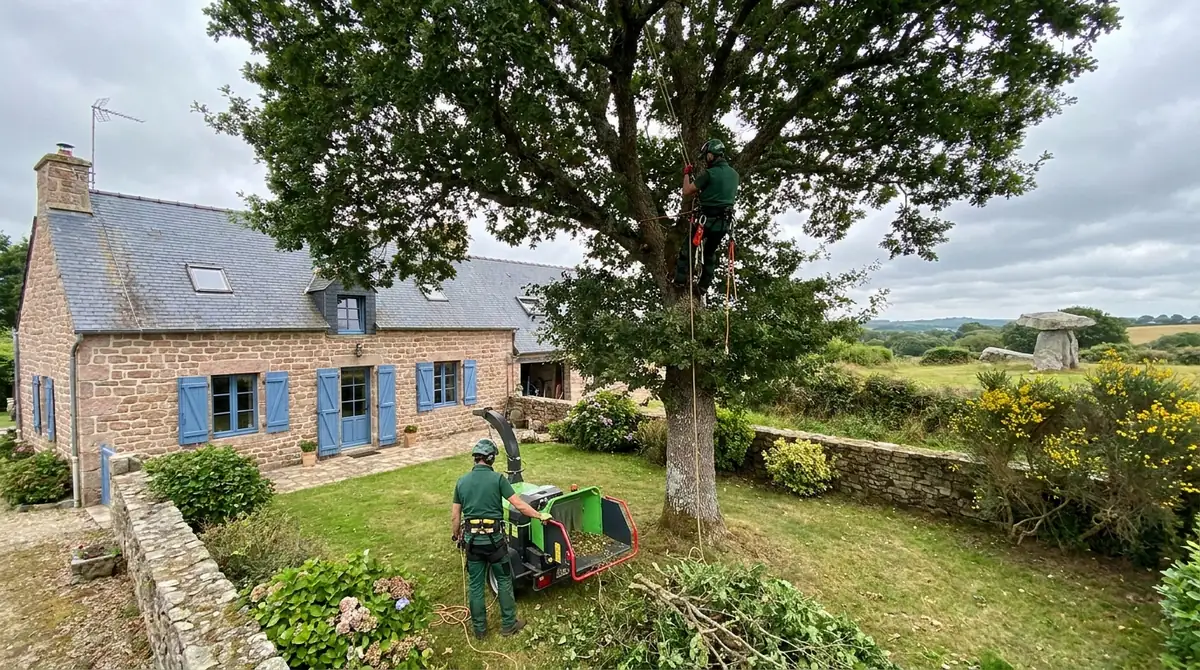Prix élagage arbre : tarifs et facteurs de coût (Lorient)
