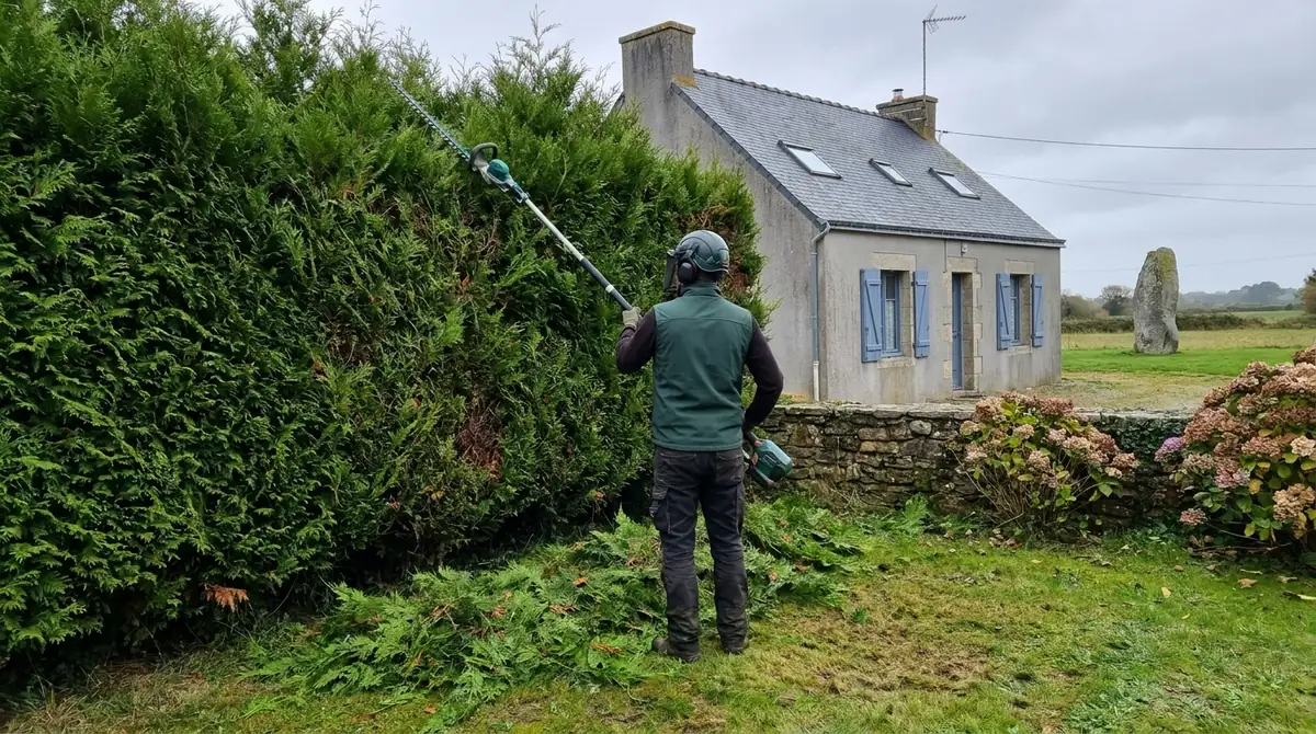 Prix taille de haie : tarifs au mètre et facteurs de coût (Lorient)
