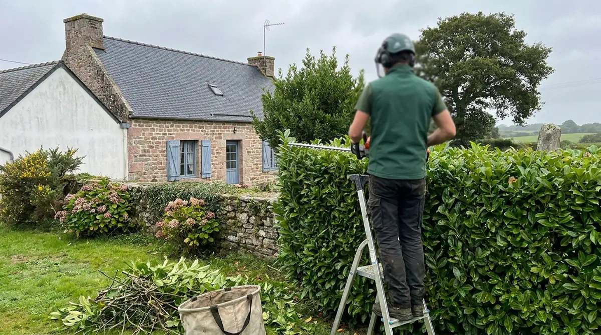 Quand tailler une haie ? Calendrier et bonnes pratiques (Lorient)