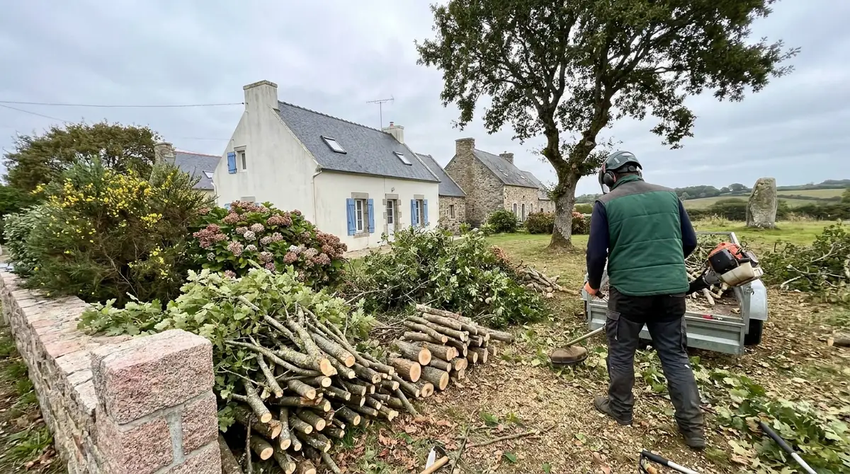 Que faire du bois après élagage ? Solutions pratiques (Lorient)